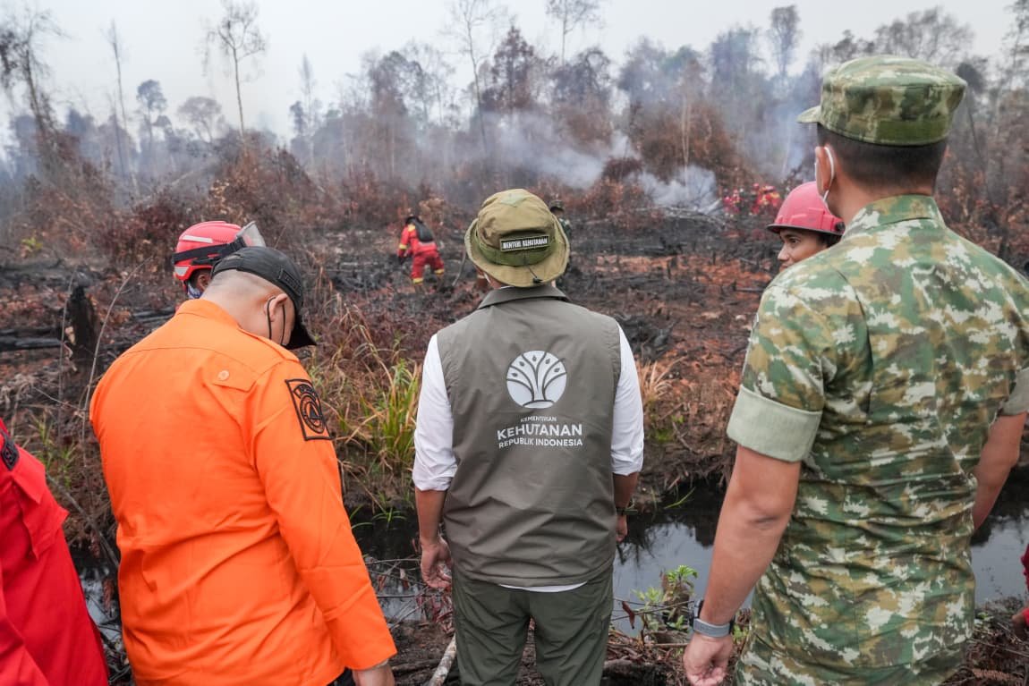 Kemenhut Menyegel Lahan Karhutla yang Akan Ditanami Sawit di Kalimantan Barat